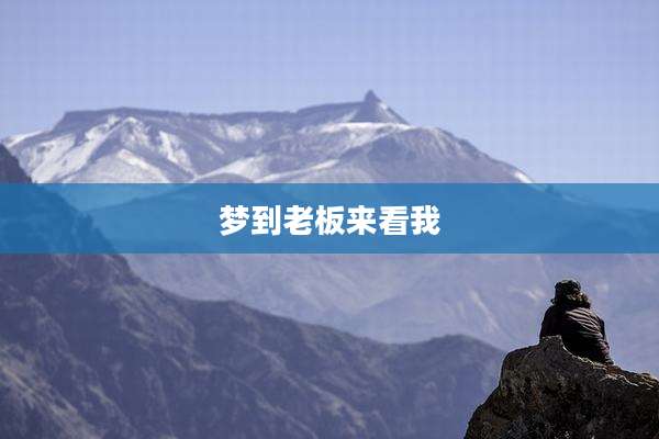梦到老板来看我