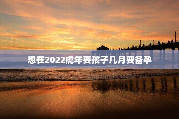 想在2022虎年要孩子几月要备孕
