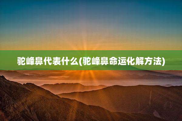 驼峰鼻代表什么(驼峰鼻命运化解方法)
