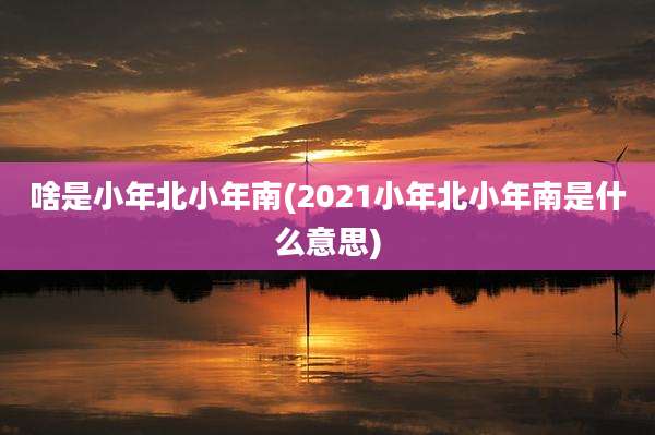 啥是小年北小年南(2021小年北小年南是什么意思)