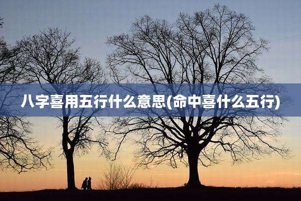 八字喜用五行什么意思(命中喜什么五行)