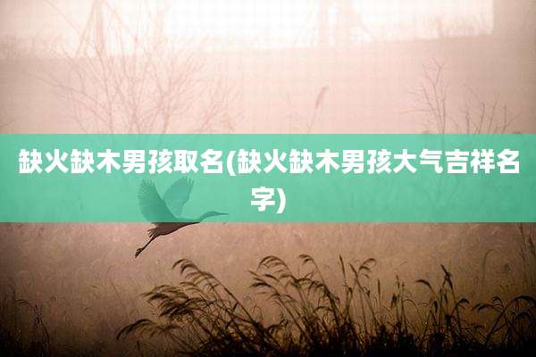 缺火缺木男孩取名(缺火缺木男孩大气吉祥名字)
