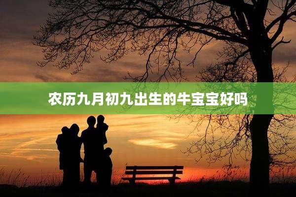 农历九月初九出生的牛宝宝好吗