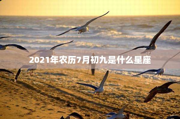 2021年农历7月初九是什么星座