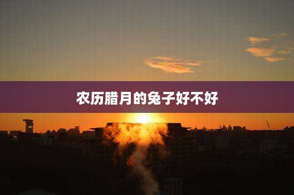 农历腊月的兔子好不好