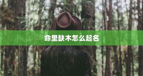 命里缺木怎么起名