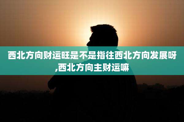 西北方向财运旺是不是指往西北方向发展呀,西北方向主财运嘛
