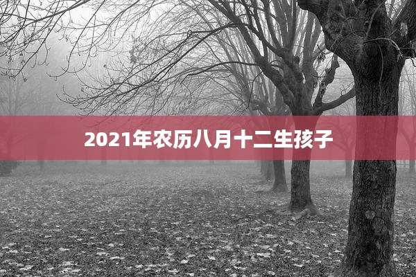 2021年农历八月十二生孩子