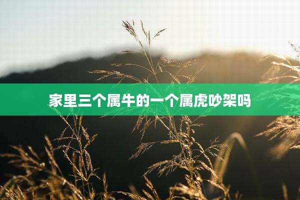 家里三个属牛的一个属虎吵架吗