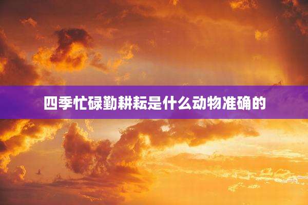四季忙碌勤耕耘是什么动物准确的