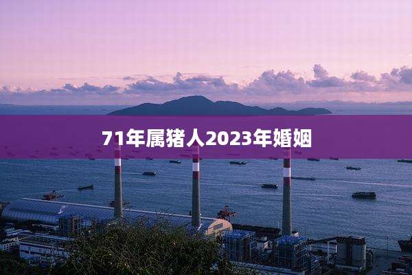 71年属猪人2023年婚姻