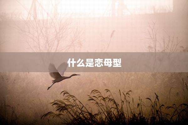 什么是恋母型