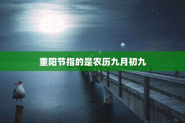 重阳节指的是农历九月初九