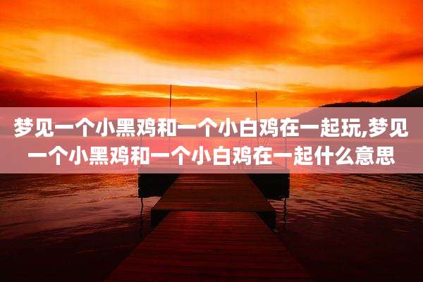 梦见一个小黑鸡和一个小白鸡在一起玩,梦见一个小黑鸡和一个小白鸡在一起什么意思
