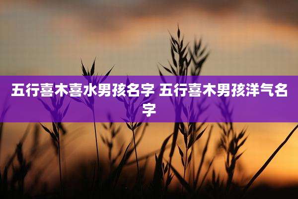五行喜木喜水男孩名字 五行喜木男孩洋气名字
