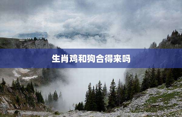 生肖鸡和狗合得来吗