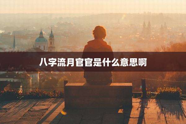 八字流月官官是什么意思啊