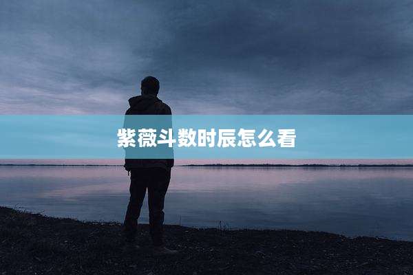 紫薇斗数时辰怎么看