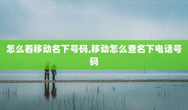 怎么看移动名下号码,移动怎么查名下电话号码