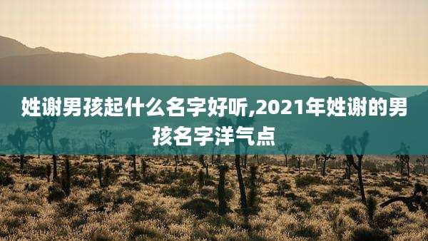 姓谢男孩起什么名字好听,2021年姓谢的男孩名字洋气点
