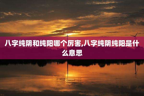 八字纯阴和纯阳哪个厉害,八字纯阴纯阳是什么意思