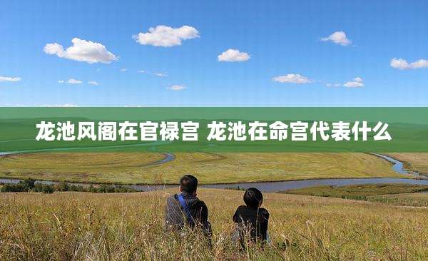 龙池风阁在官禄宫 龙池在命宫代表什么