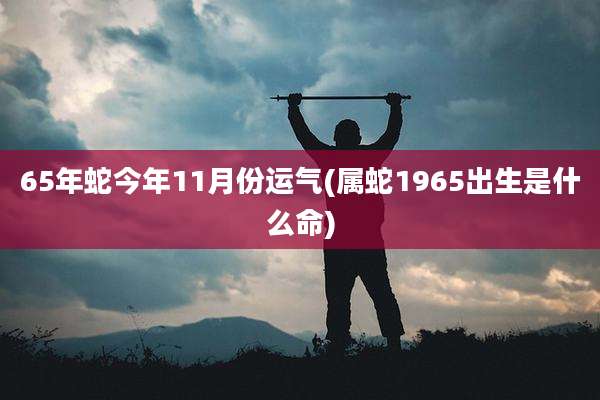65年蛇今年11月份运气(属蛇1965出生是什么命)