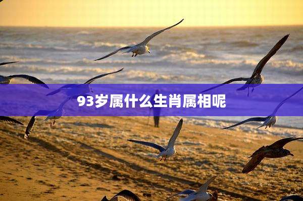 93岁属什么生肖属相呢