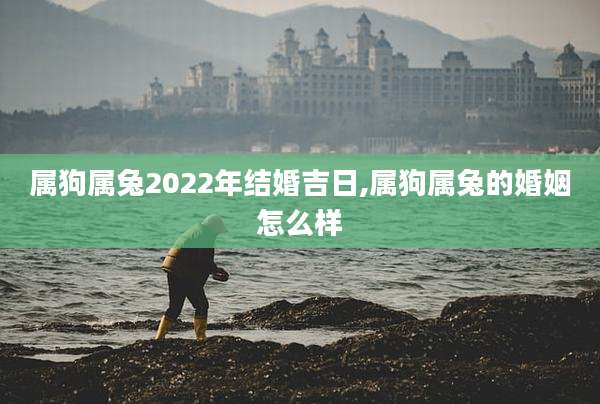 属狗属兔2022年结婚吉日,属狗属兔的婚姻怎么样