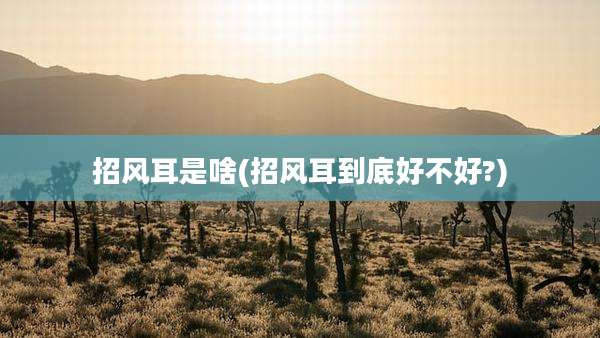 招风耳是啥(招风耳到底好不好?)