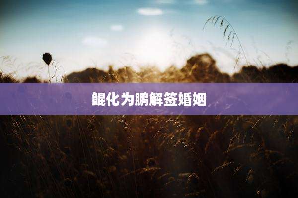 鲲化为鹏解签婚姻