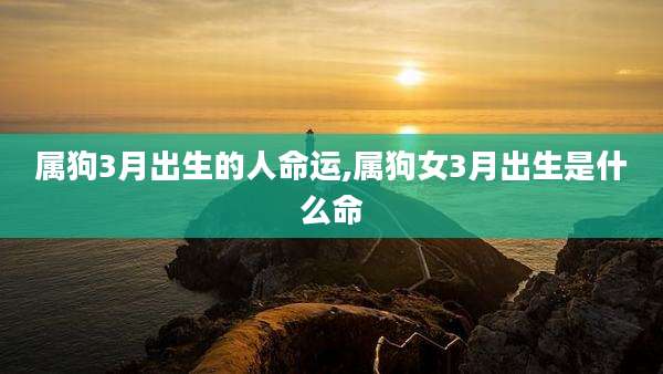 属狗3月出生的人命运,属狗女3月出生是什么命
