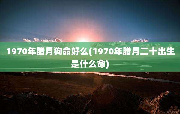 1970年腊月狗命好么(1970年腊月二十出生是什么命)