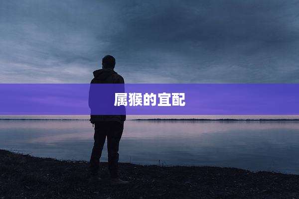 属猴的宜配