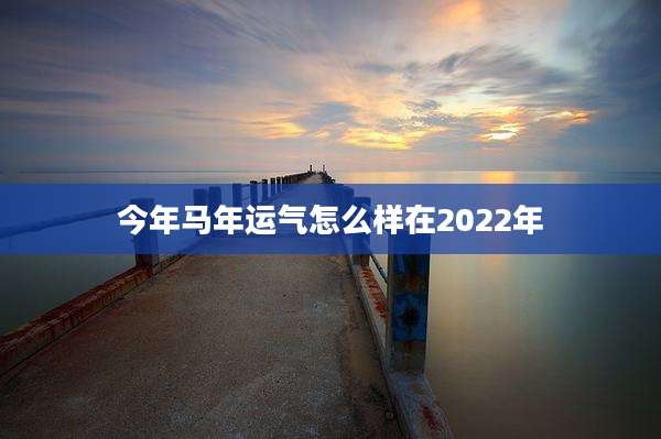 今年马年运气怎么样在2022年