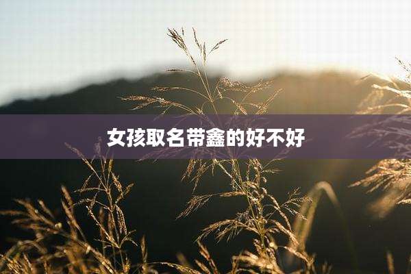 女孩取名带鑫的好不好