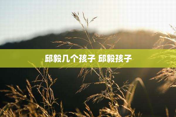 邱毅几个孩子 邱毅孩子