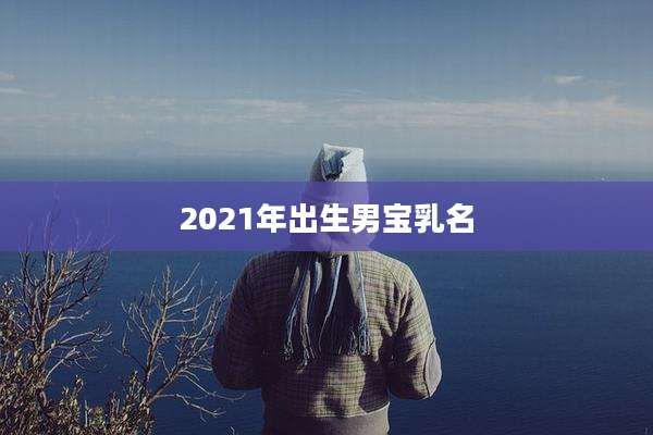 2021年出生男宝乳名