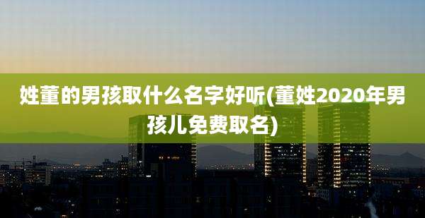 姓董的男孩取什么名字好听(董姓2020年男孩儿免费取名)