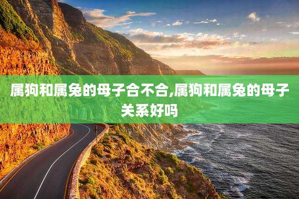 属狗和属兔的母子合不合,属狗和属兔的母子关系好吗