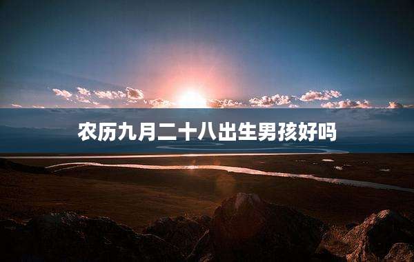 农历九月二十八出生男孩好吗