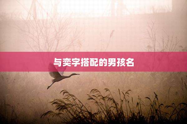 与奕字搭配的男孩名
