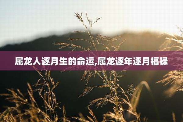 属龙人逐月生的命运,属龙逐年逐月福禄
