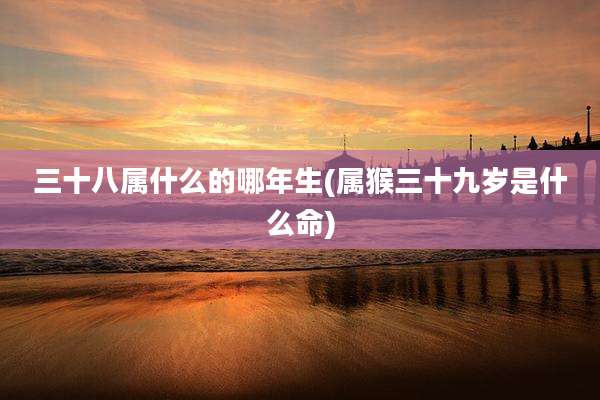 三十八属什么的哪年生(属猴三十九岁是什么命)