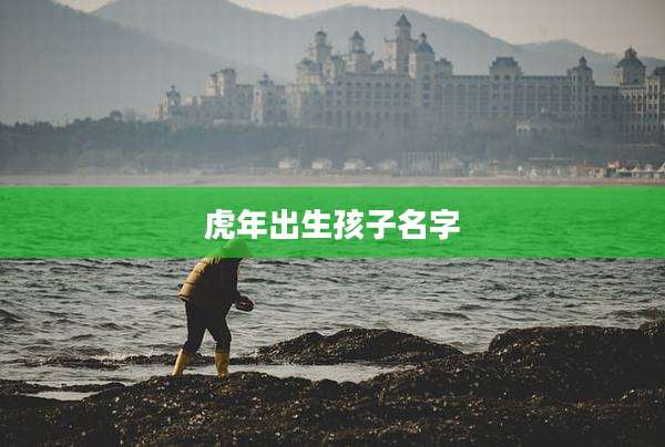 虎年出生孩子名字