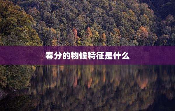 春分的物候特征是什么