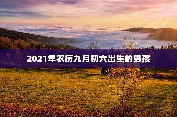 2021年农历九月初六出生的男孩