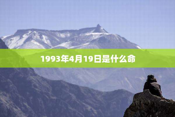 1993年4月19日是什么命