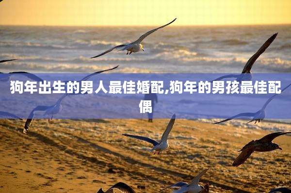 狗年出生的男人最佳婚配,狗年的男孩最佳配偶