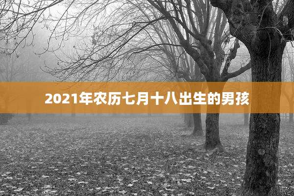 2021年农历七月十八出生的男孩